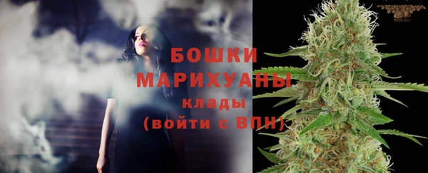 spice Зеленодольск