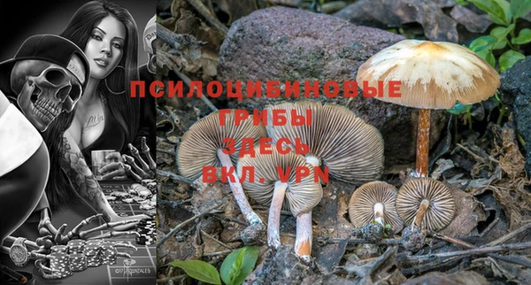 а пвп мука Абаза