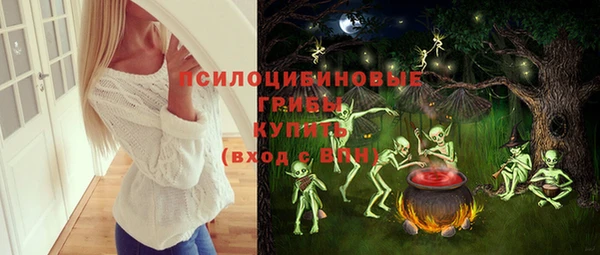 хмурый Абинск